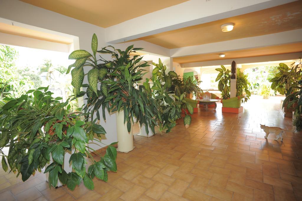 Villa Au Domaine Des Bougainvilliers Sainte-Rose Esterno foto